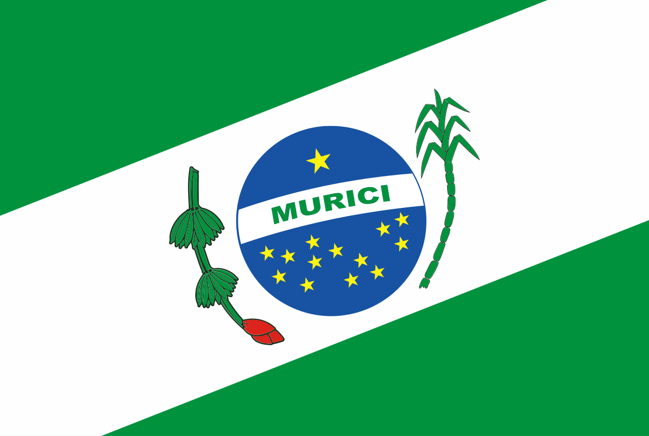 Bandeira de Murici