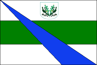 Bandeira de Senador Rui Palmeira
